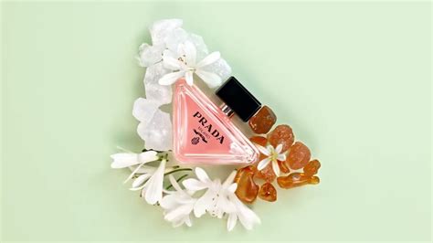 prada paradoxe ingredienti